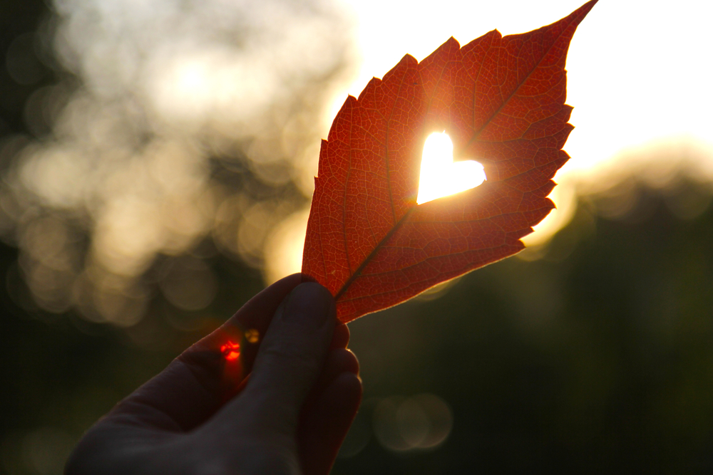 Autumn,Red,Leaf,With,Cut,Heart,In,A,Hand